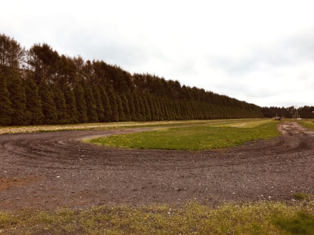 Photograph of an autumn field with a circular graval road and a hedge of trees.